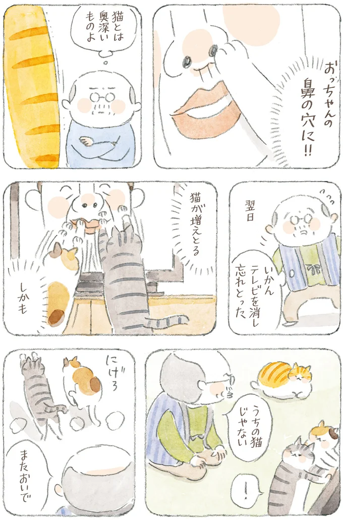 猫とは奥深いものよ