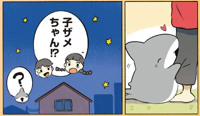 子ザメちゃん!?