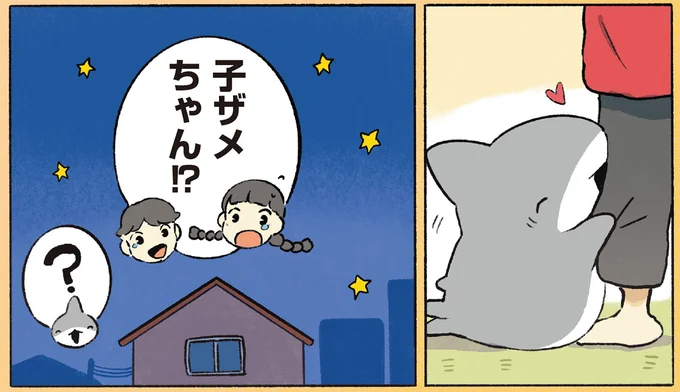 子ザメちゃん!?