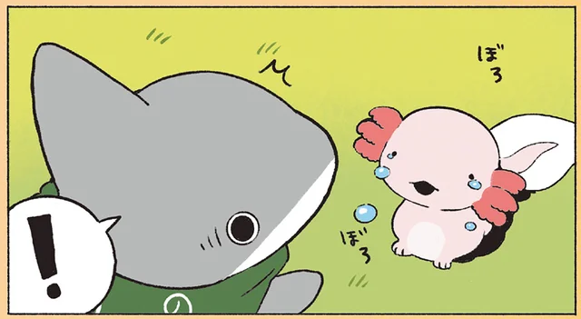子ザメちゃんが出会った新しいお友だち。涙を流しているのをなんとかしてあげたい！