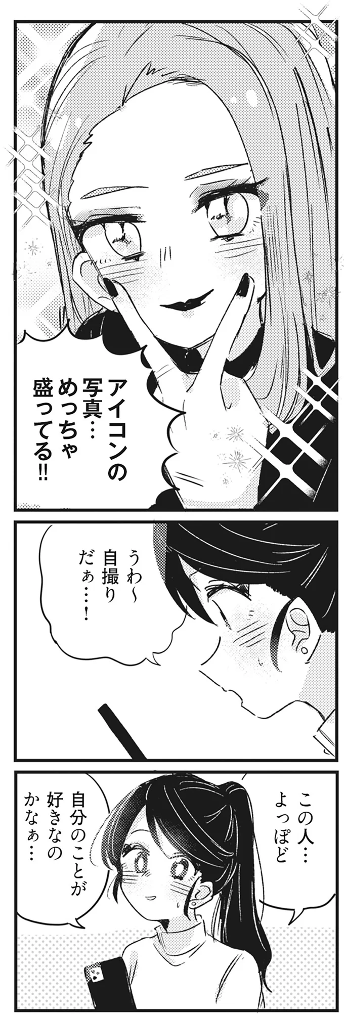 アイコンの写真…