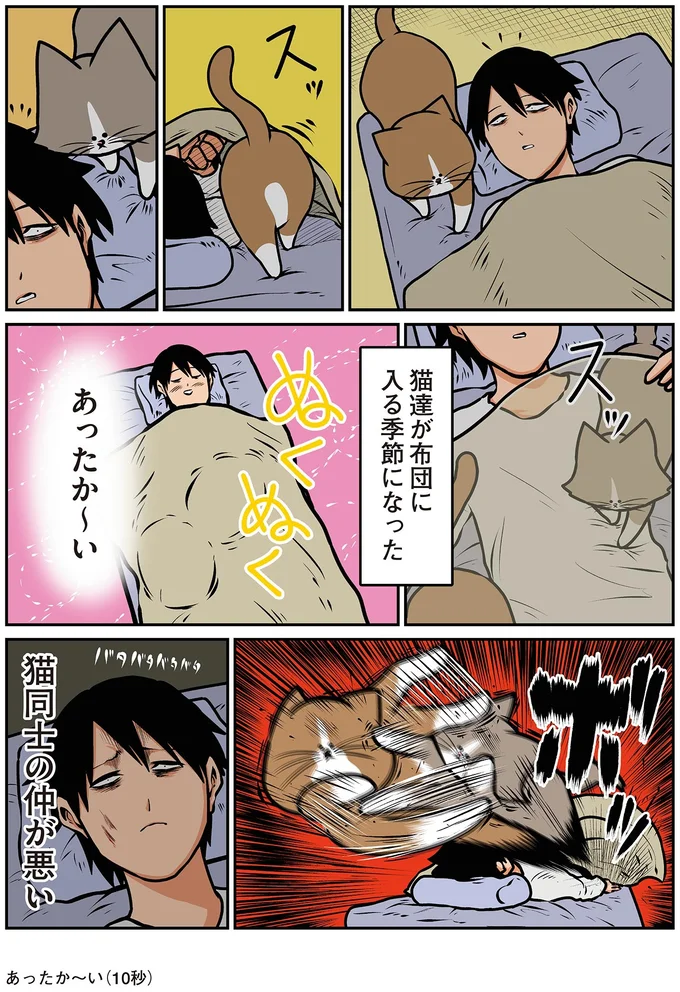 『鴻池剛と猫のぽんた ニャアアアン！4』より