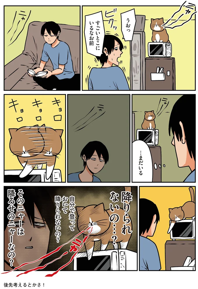 『鴻池剛と猫のぽんた ニャアアアン！4』より