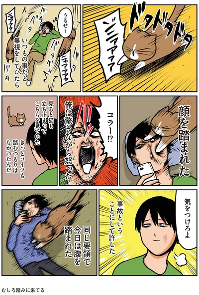 『鴻池剛と猫のぽんた ニャアアアン！4』より