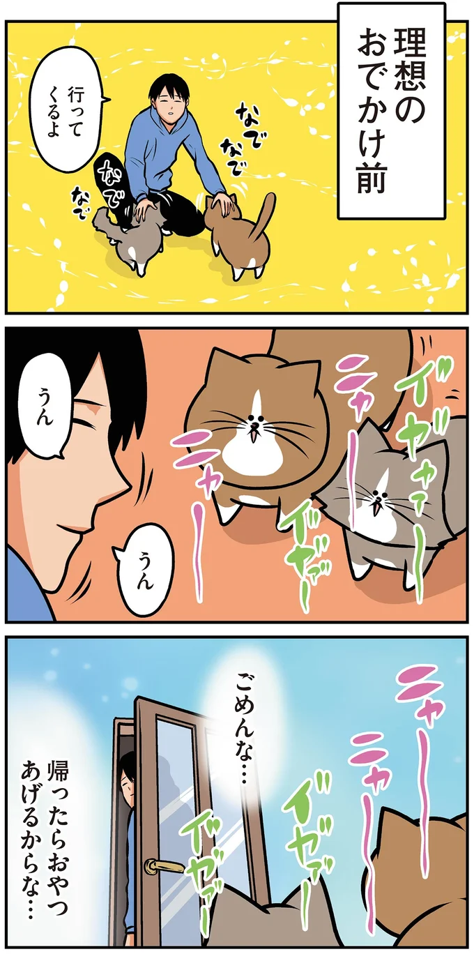 『鴻池剛と猫のぽんた ニャアアアン！4』より