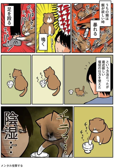 『鴻池剛と猫のぽんた ニャアアアン！4』より