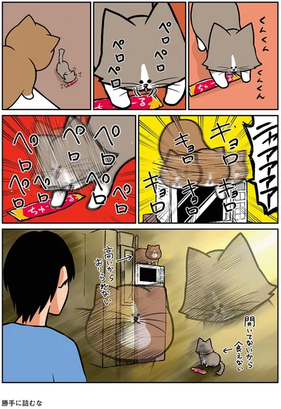 『鴻池剛と猫のぽんた ニャアアアン！4』より