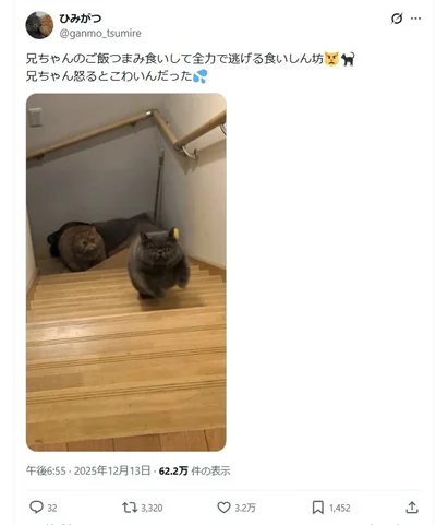 逃げろ～！▶逃げているつみれくんの表情に注目！（⇒次へ）