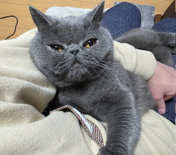 「帰りが遅いんじゃない？」▶熱～い視線（⇒次へ）