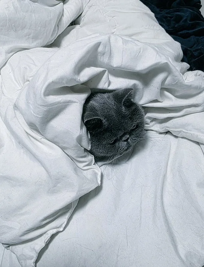 寒くて布団から出れなくなってる弟▶一方でお兄ちゃんは…(⇒次へ)