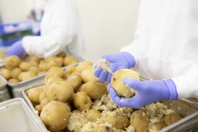 皮と実の間のおいしい部分を残すため、1日約5,000 個のじゃがいもを手作業で皮剥き