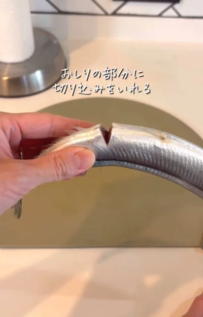 おしり部分に切り込みを入れる（⇒次へ）