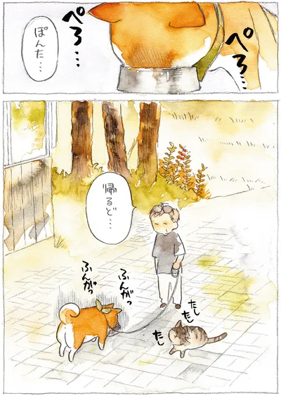 『柴犬ぽんちゃん、今日もわが道を行く』より