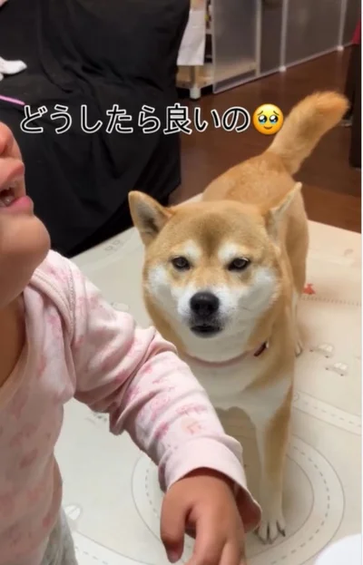 泣く娘さんを前に、どうしたら良いかわからない…（⇒次へ）