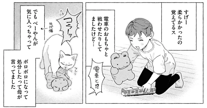 すげー柔らかかったの覚えてるス