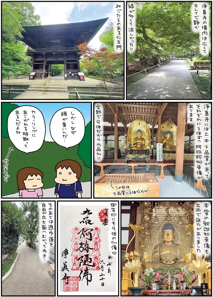 しかしなぜ頭が青いんだ…