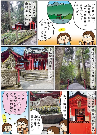 参道にそびえる杉は大迫力！！