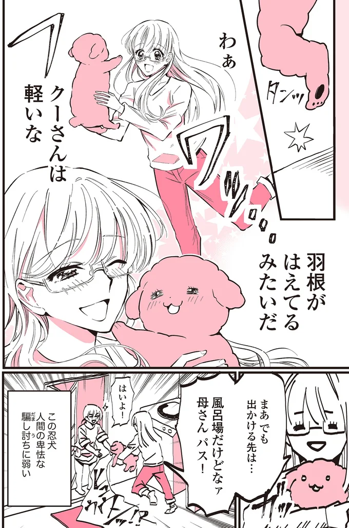 『うちのトイプーがアイドルすぎる。』より