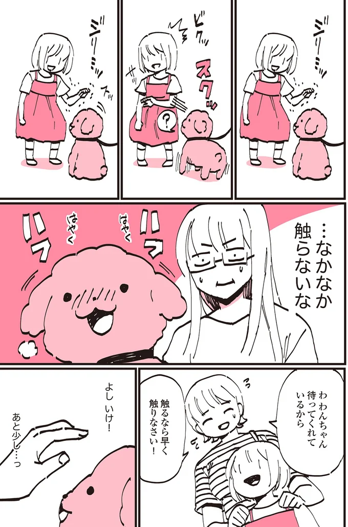 『うちのトイプーがアイドルすぎる。』より