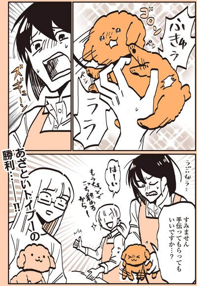 『うちのトイプーがアイドルすぎる。』より