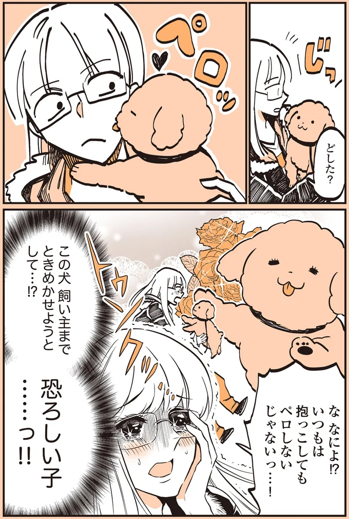 『うちのトイプーがアイドルすぎる。』より