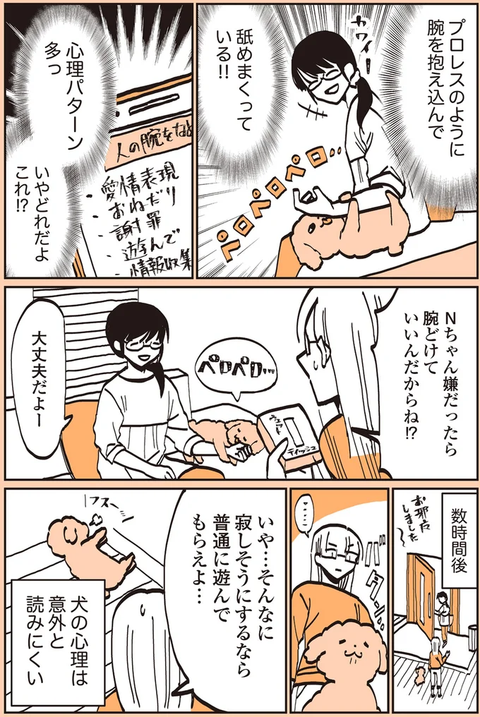 『うちのトイプーがアイドルすぎる。』より