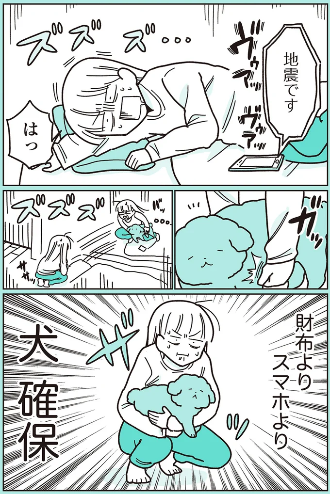 『うちのトイプーがアイドルすぎる。』より