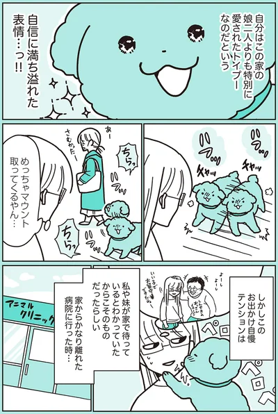 『うちのトイプーがアイドルすぎる。』より