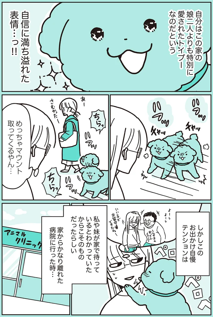 『うちのトイプーがアイドルすぎる。』より