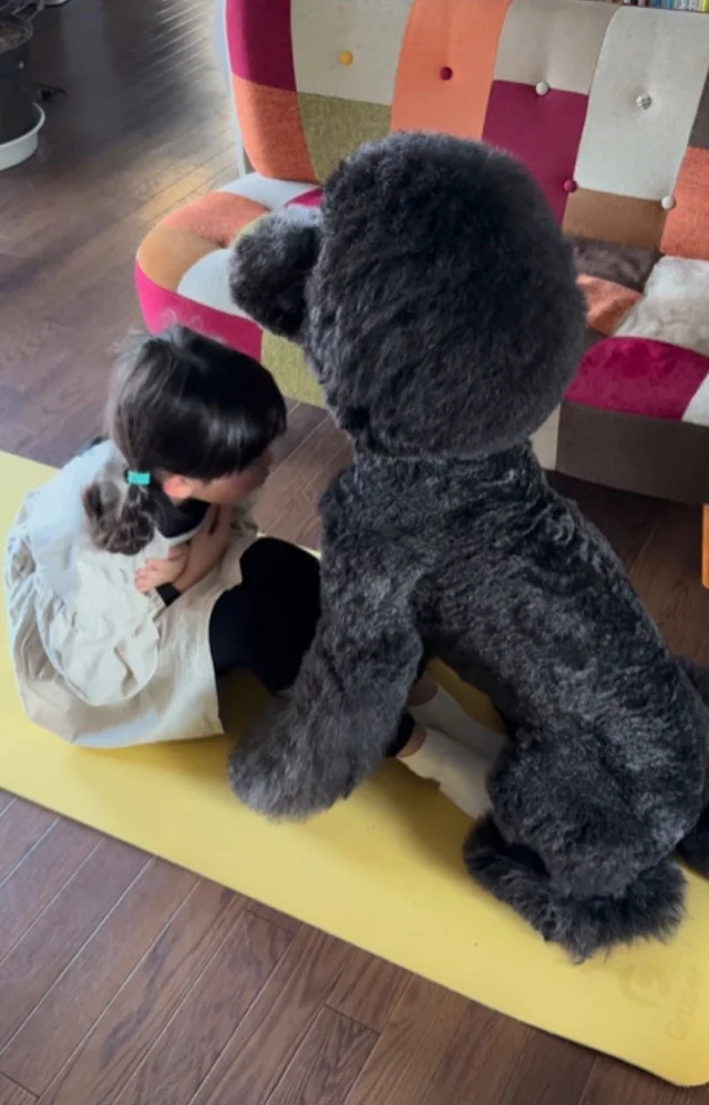 腹筋を見守る黒プードルの存在感「まるで専属のジムトレーナー」「頼もしい」