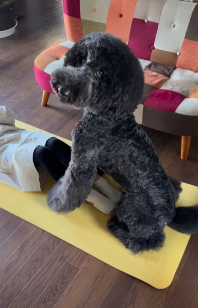 顔を見上げて「もっと頑張って」と言いたそう▶ワンちゃんと子どもたちの日常（⇒次へ）