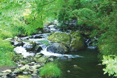 島根県で数百年の歳月をかけてろ過された天然水