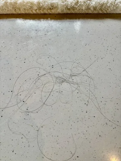 床に散らばった髪の毛が…（▶次へ）