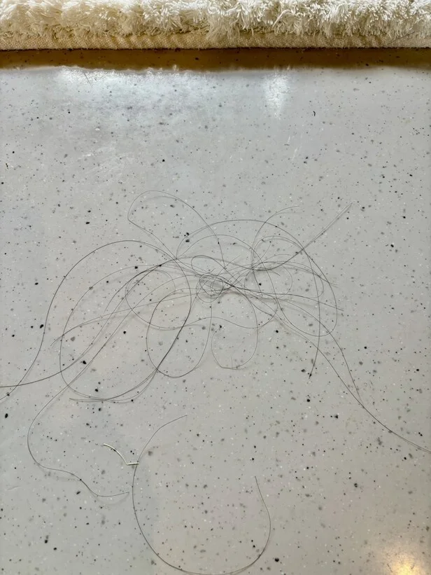 床に散らばった髪の毛が…（▶次へ）