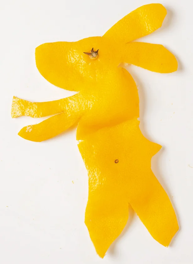 むいて、むいて！「みかんアート」でかわいい生き物を生み出そう