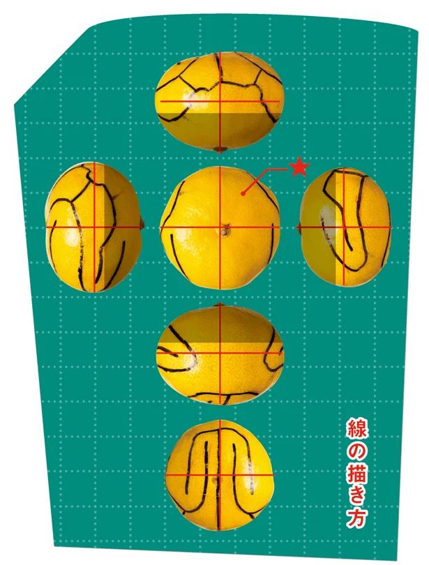 胴体にあたる★部分をむくときは慎重に