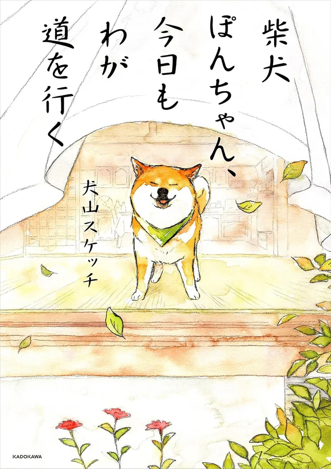 わが家には、マイペースで最高な柴犬がいる。『柴犬ぽんちゃん、今日もわが道を行く』