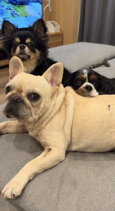 あるがままを受け入れています‥▶いつも仲良し（⇒次へ）