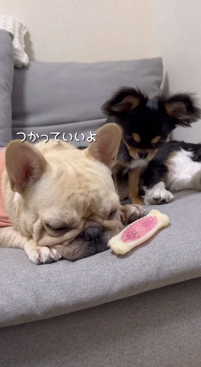 「ほしいんでしょ？どうぞ」▶「ではもらいます」（⇒次へ）