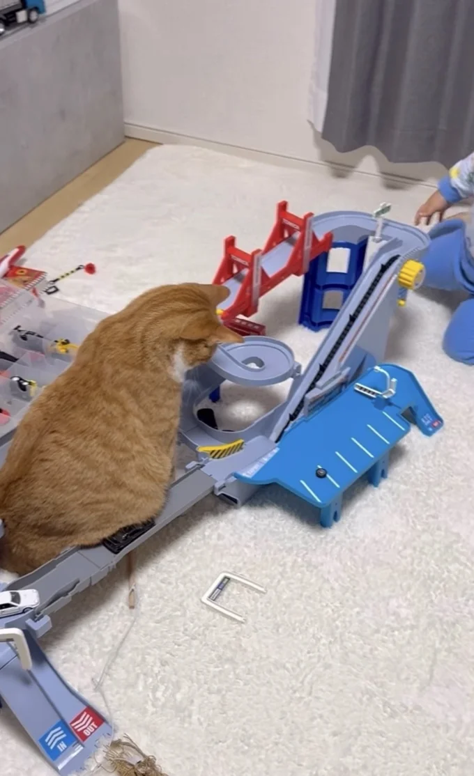 ミニカーがお腹のお肉に引っかかっている（⇒次へ）