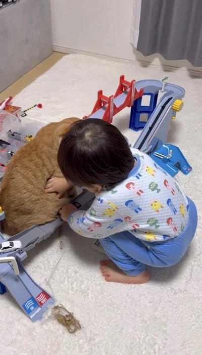 すかさず息子くんがミニカーを救出▶なぎくんのお腹を手でやさしく押すと…（⇒次へ）