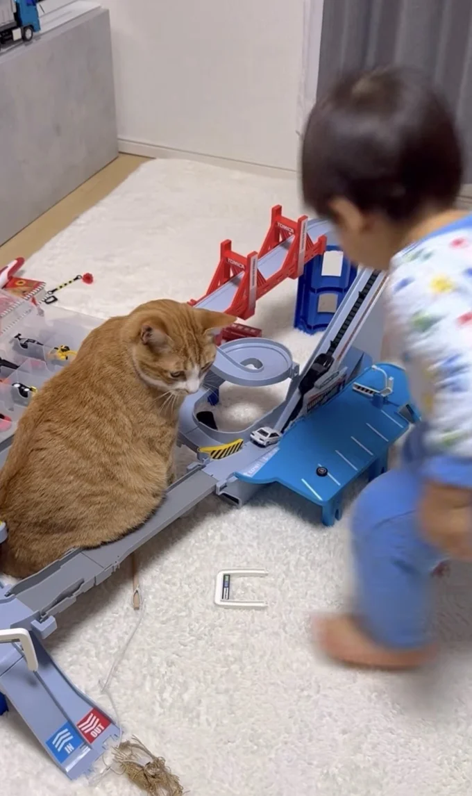 止まっていたミニカーが走り出す▶しかし一周するとまた…(⇒次へ)