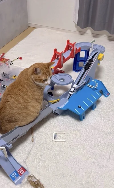 ミニカーコースの中央に座る“なぎくん”（⇒次へ）