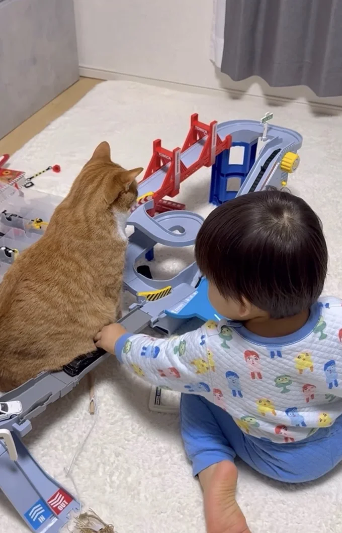 お腹に引っかかり止まってしまう▶よく見てみると…(⇒次へ)