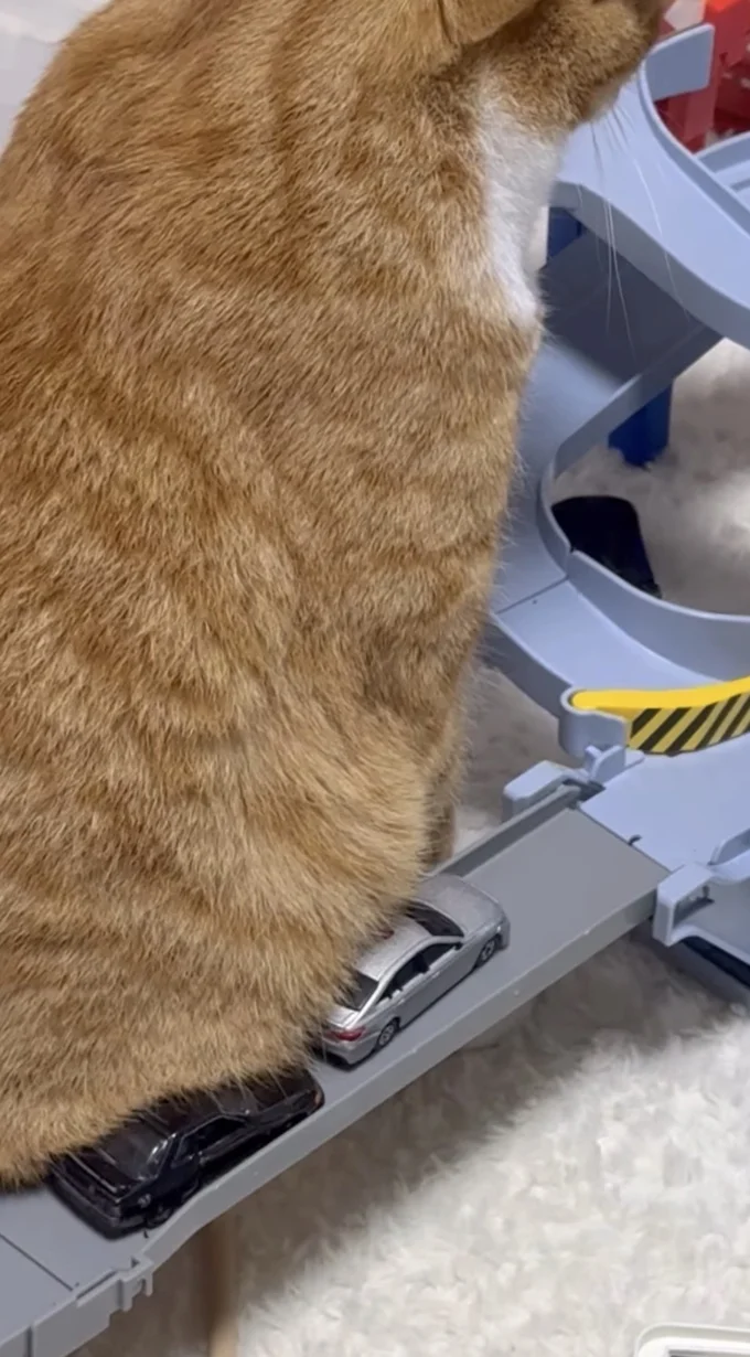 ミニカーが渋滞している▶普段の息子くんとなぎくんの様子(⇒次へ)