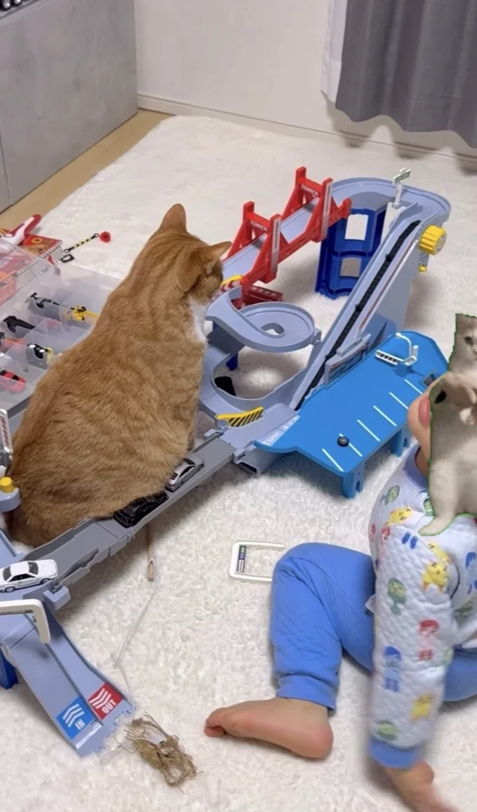 「腹渋滞」にお手上げ状態の息子くん▶腹渋滞のはじまりは…(⇒次へ)