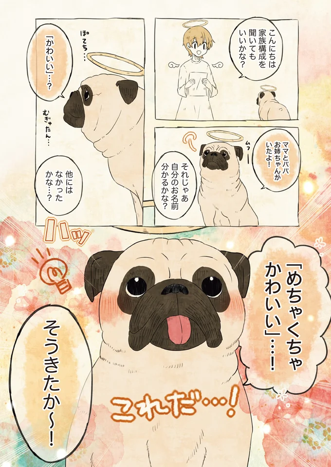 「めちゃくちゃかわいい」…！