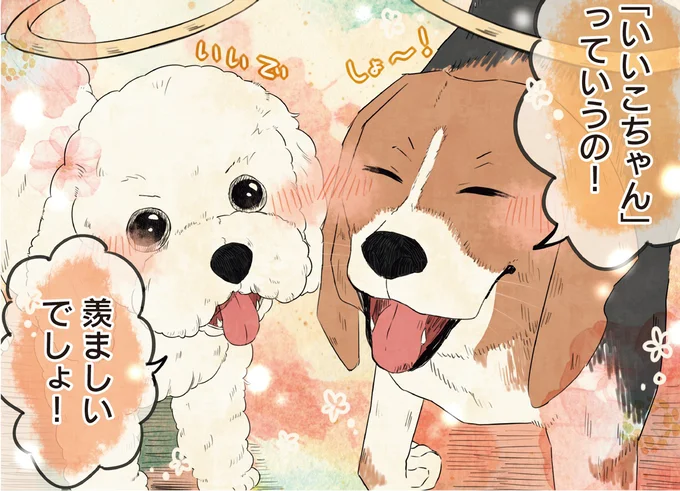 「いいこちゃん」っていうの！