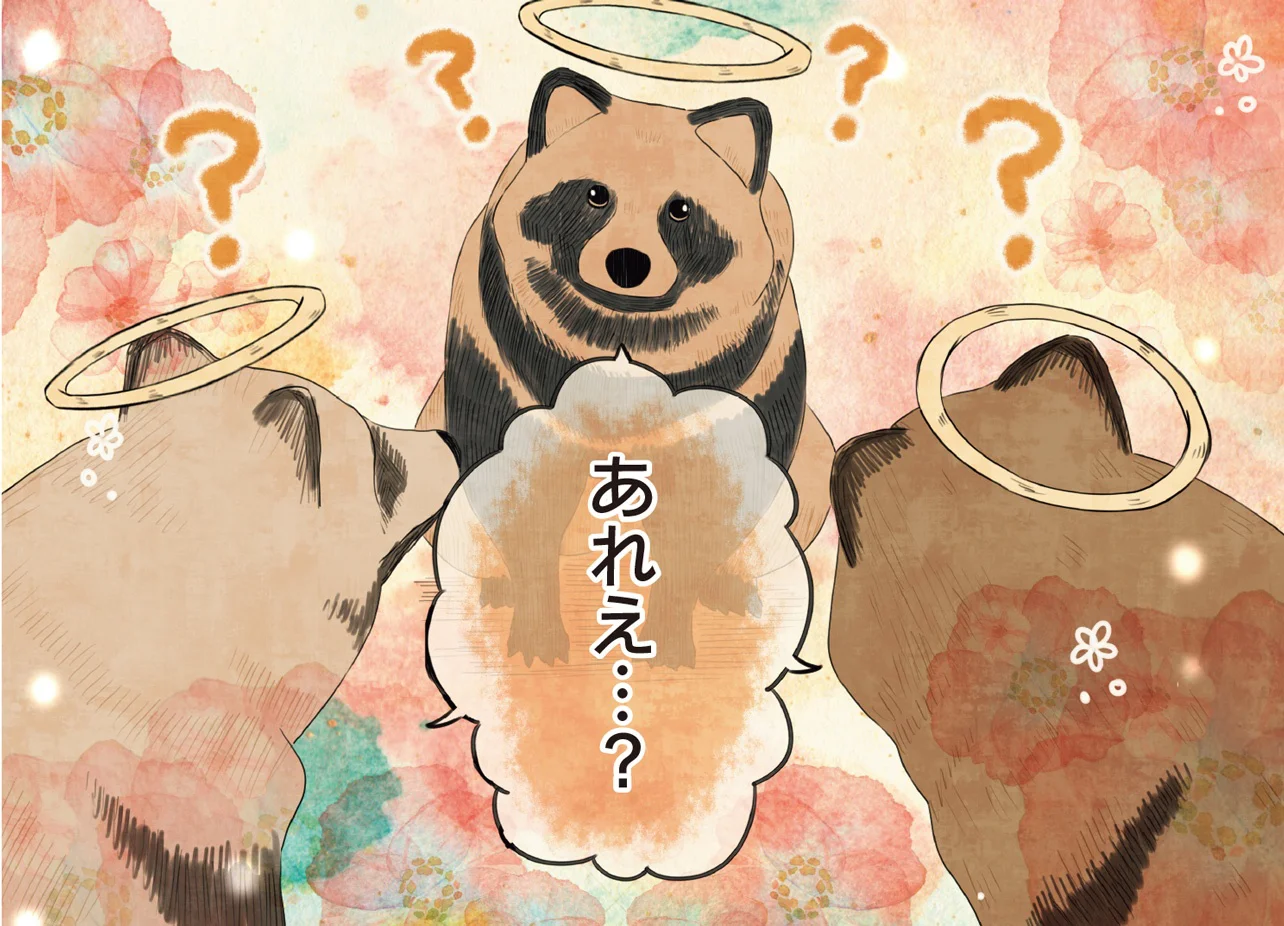 誇らしげに「いぬ」と名乗るたぬきが、天国に続々と出現！あれえ