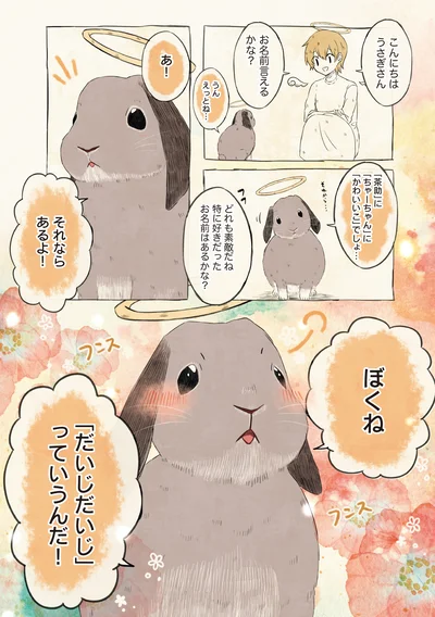 こんにちはうさぎさん